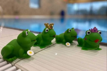 10021 speelset kikker set van 4