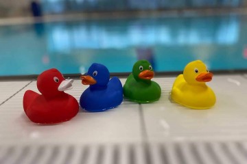 10022 speelset eend set van 4