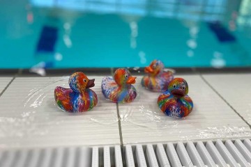 10023 speelset eend fun set van 4