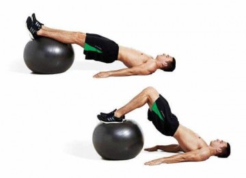 29994 therapiebal gymnic plus 55 65 75