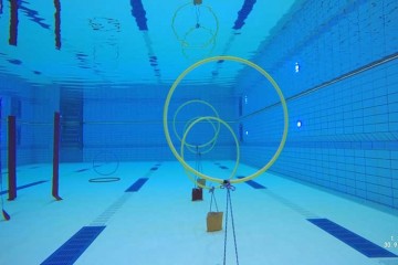 70101 slalom flipper diving