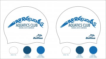 Barracudassiliconcap